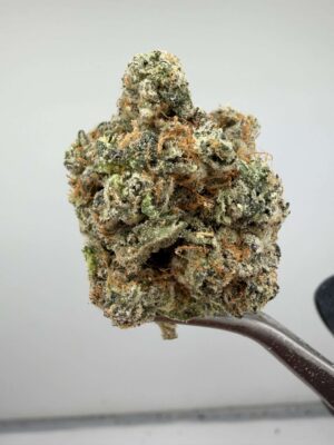 LA Pop Rocks