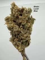 Variety Pack 14G - Image 2