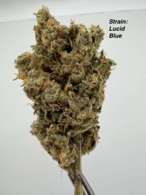 Variety Pack 14G