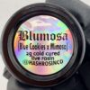 HRC T2- Blumosa