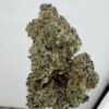 WoodWide- Viper Cookies