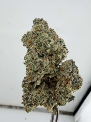 WoodWide- Viper Cookies