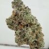 WoodWide- Viper Cookies