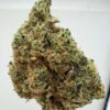 WoodWide- Dutch Treat
