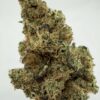 WoodWide- Dutch Treat