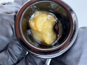 HRC T2- Banana Fritter