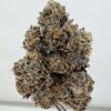 Jungle Juice by Wizard Trees
