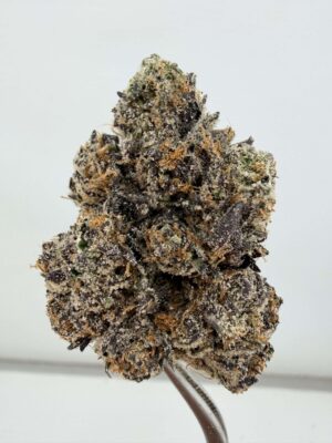 Jungle Juice by Wizard Trees