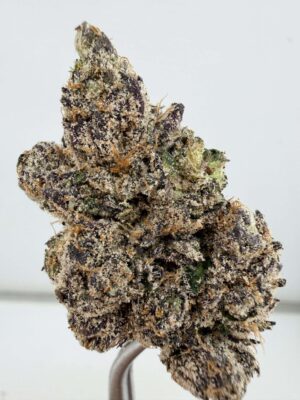 Jungle Juice by Wizard Trees