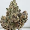 Jungle Juice by Wizard Trees