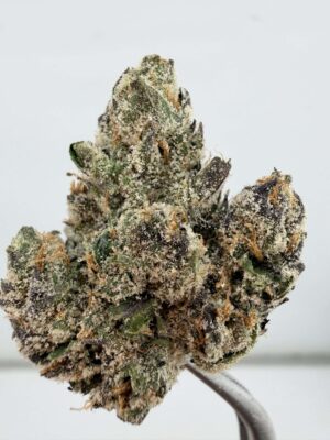Jungle Juice by Wizard Trees