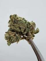 Teds Buds Smalls - Grape Uncrustablez