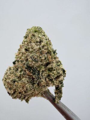 Teds Buds Smalls - Blue Duck Fries