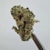 Teds Buds Smalls - Blue Duck Fries