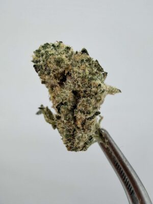 Teds Buds Smalls - Blue Duck Fries