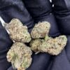Teds Buds Smalls - Blue Duck Fries