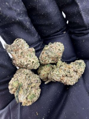 Teds Buds Smalls - Blue Duck Fries
