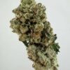 White Glue