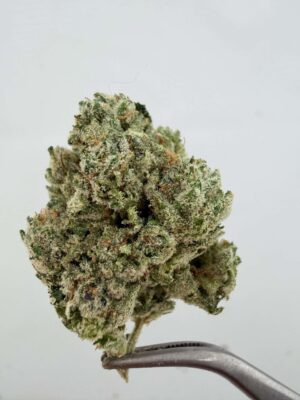 White Glue