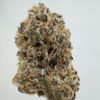 Orange Cookies