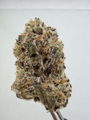 Orange Cookies