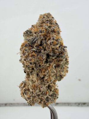Orange Cookies