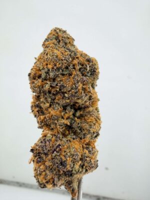 Royal Budline- Gushers