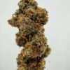 Royal Budline- Gushers