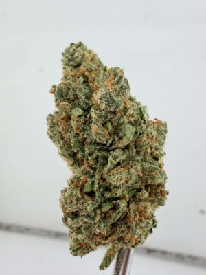 Pineapple Coma