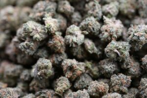 WoodWide- Zkittlez Smalls