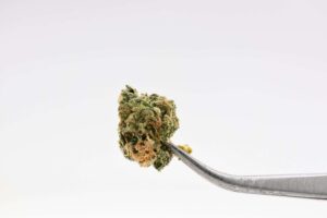 WoodWide- Zkittlez Smalls