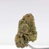 Wood Wide Pheno Hunt - Zkittlez x Royal Kush
