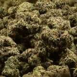 Aloha Cake - Image 3