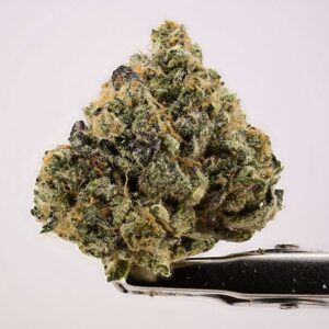Animal Mint Cookies