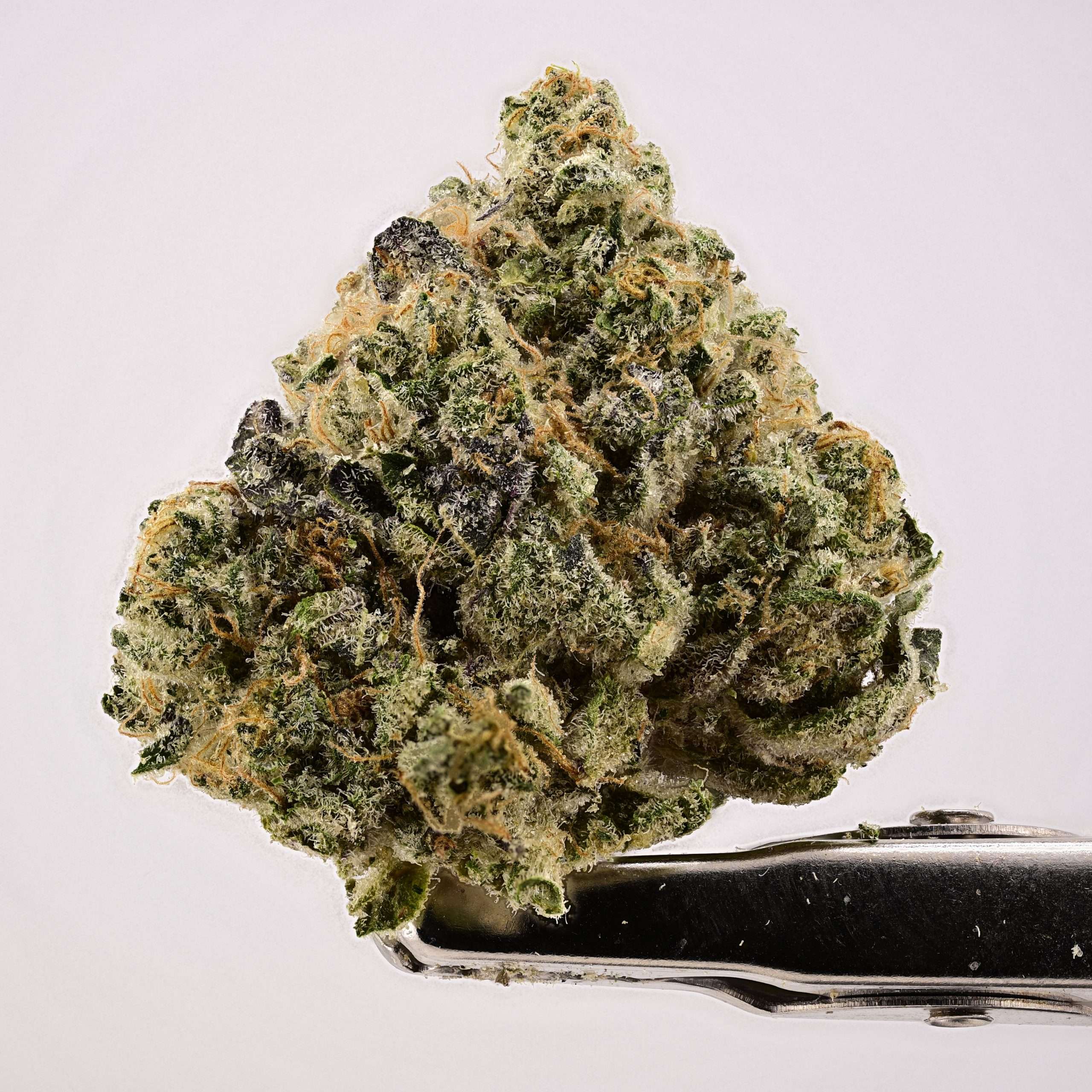 Animal Mint Cookies - Image 1