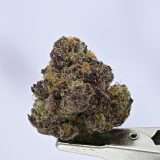 Berry Bliss - Image 2