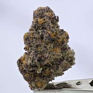 Berry Bliss