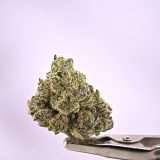 Burning Rope Pharms- Black Opz