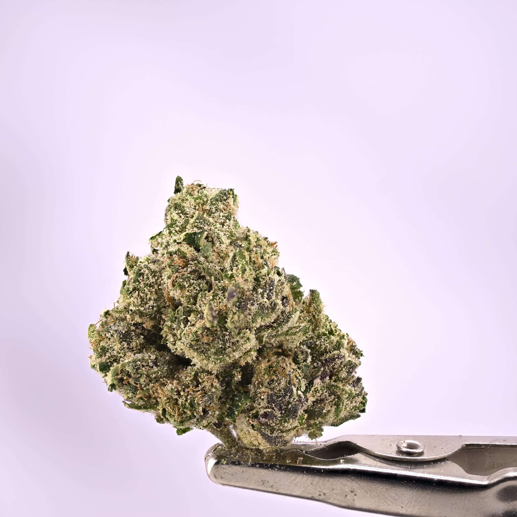 Burning Rope Pharms – Black Opz