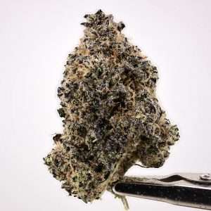 Antheia Farms - Blueberry Sugar