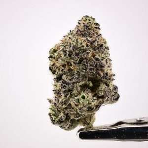Antheia Farms - Blueberry Sugar