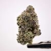 Antheia Farms - Blueberry Sugar
