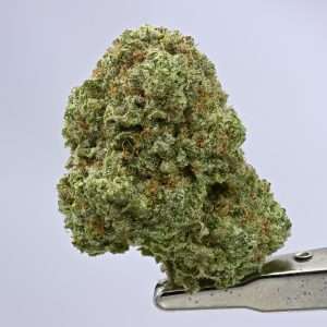 GG #4