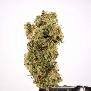 Antheia Farms - Golden Pineapples