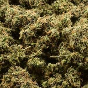 Antheia Farms - Golden Pineapples