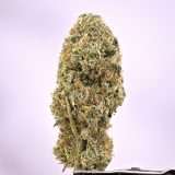 Teds Buds Bigs - Heavy Duck Sauce - Image 3