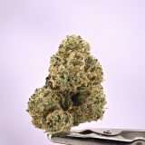 Teds Buds Bigs - Heavy Duck Sauce