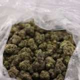 Blue Taffie - Image 3