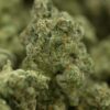 White Widow