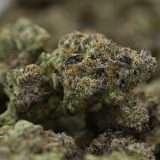 Purple Flamingo - Image 3